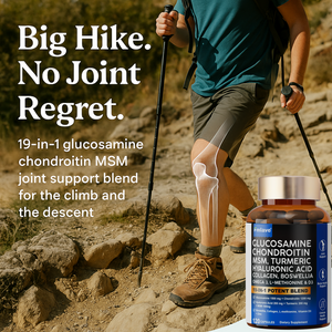 GLUCOSAMINE CHONDROITIN MSM 19-IN-1 POTENT BLEND