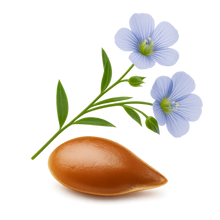 Flaxseed (Linum usitatissimum) (Seed) Extract (20:1)