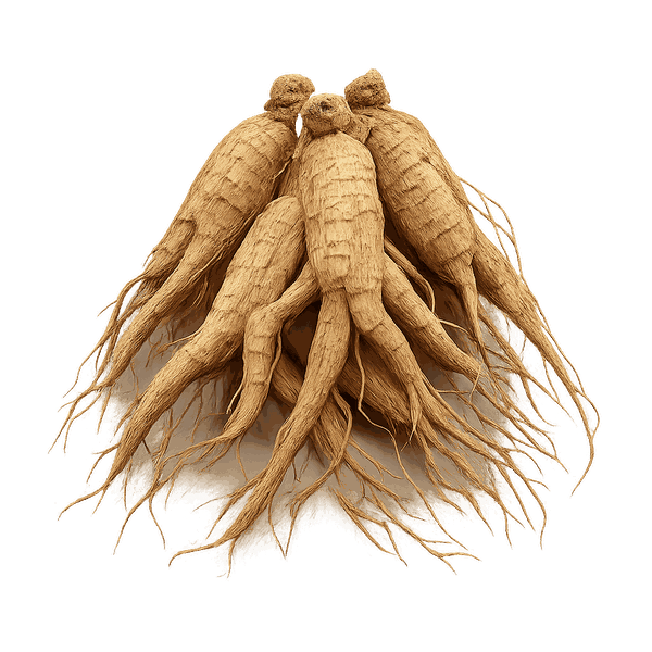 Ginseng Extract