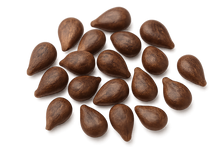 Grape Seed 30:1 Extract (Vitis vinifera) (Seed)