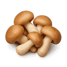 Himematsutake extract
