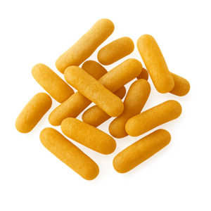 Lactobacillus bulgaricus