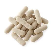 Lactobacillus paracasei