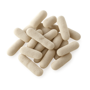 Lactobacillus paracasei
