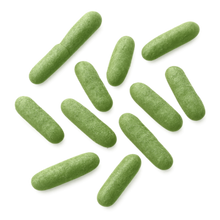 Lactobacillus salivarius