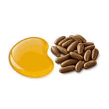 Milk Thistle Seed Oil Powder