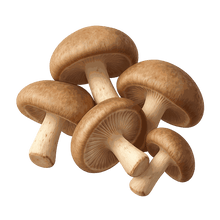 Shiitake Mushroom extract