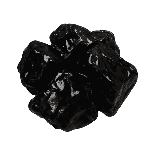 Shilajit Resin Extract
