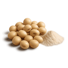 Soy Bean Extract 