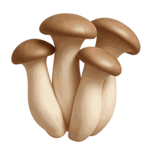 Trumpet King Mushroom extract