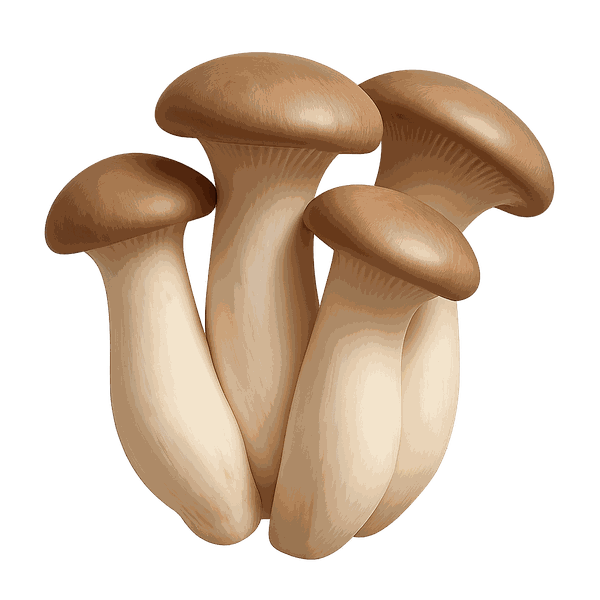 Trumpet King Mushroom extract