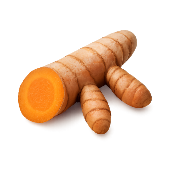 Turmeric (Curcuma longa L.) (Root) Extract (30:1)