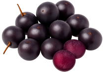 Acai 10:1 Extract (Euterpe oleracea) (Fruit) 