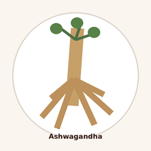 Ashwagandha Extract