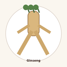 Ginseng Extract